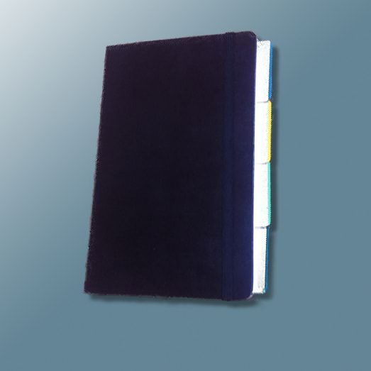 Cahier Moleskine GTD 4